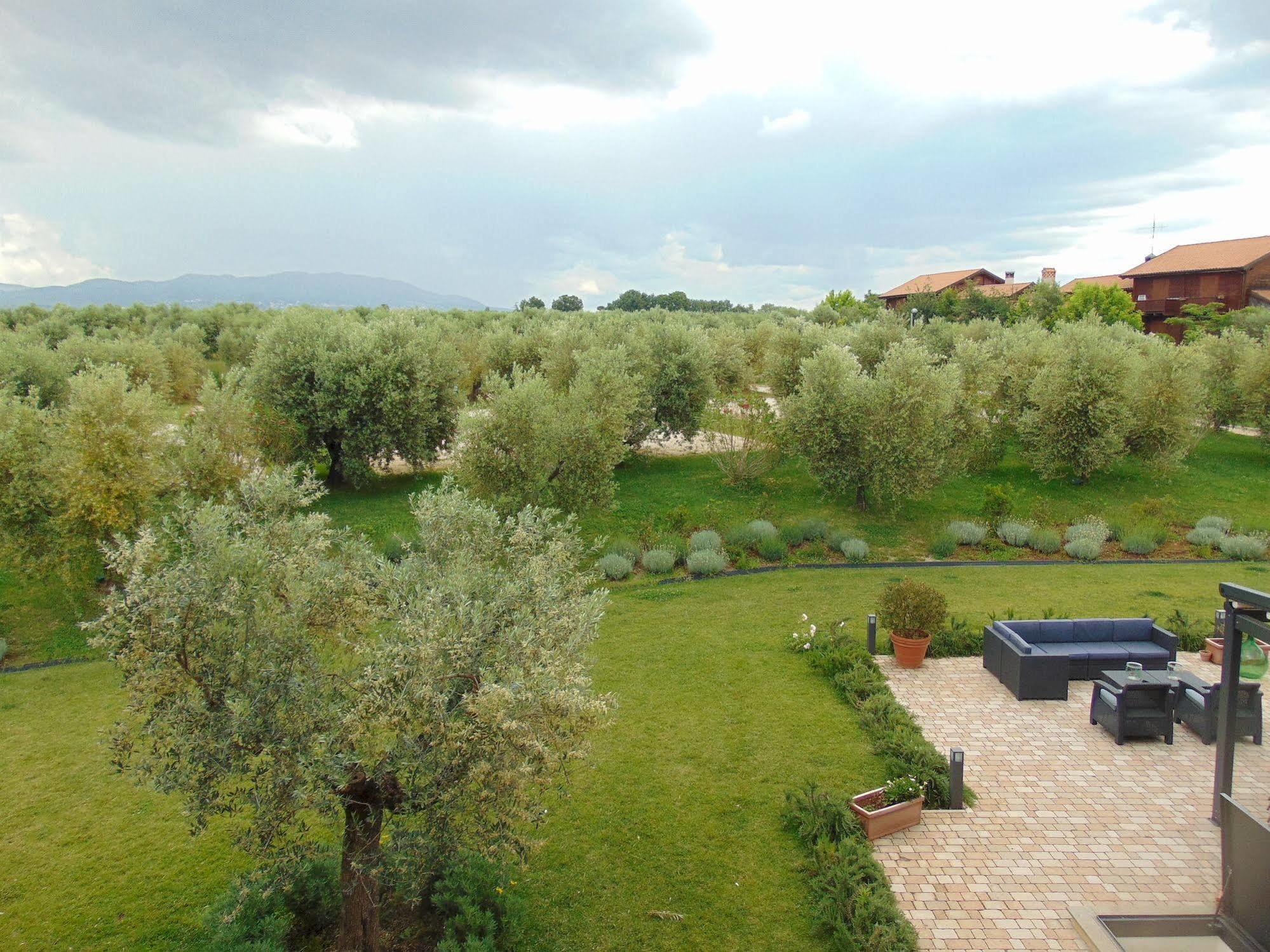 Il Casale Degli Ulivi - Agriturismo - Tenimenti Leone Lanuvio Exterior photo